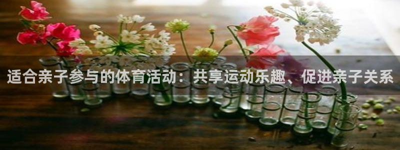 必发集团网站|适合亲子参与的体育活动：共享运动乐趣、促进亲子