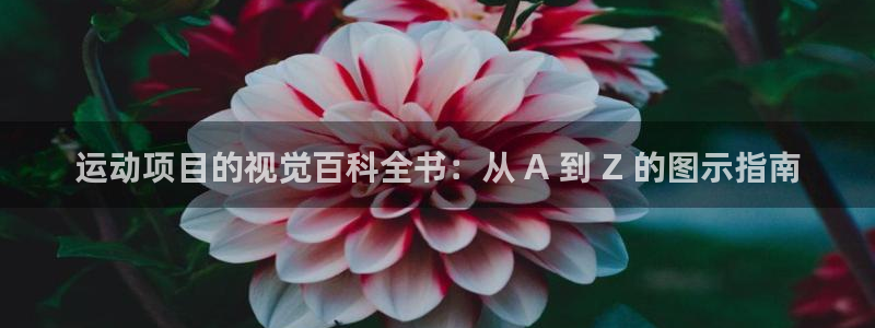 必发集团app下载|运动项目的视觉百科全书：从 A 到 Z 