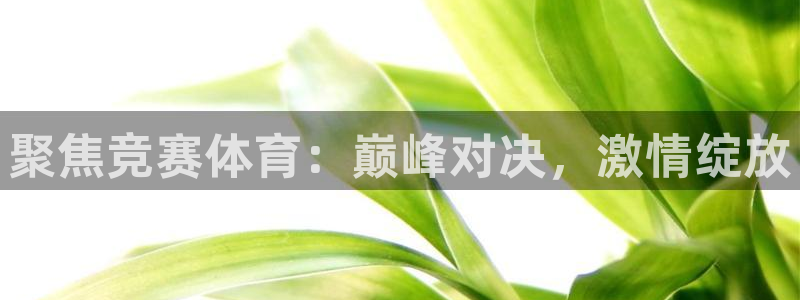 必发集团官方网站